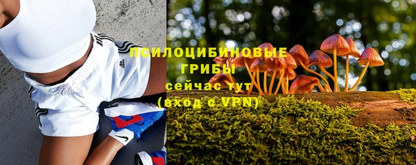 амф Алзамай