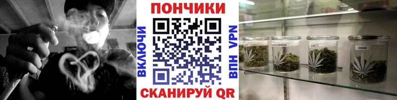 Шишки марихуана гибрид OMG как войти Майкоп купить наркотик